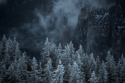 雪山树木的灰度摄影